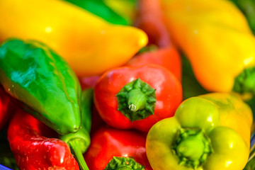 Summer harvest. Freshly picked, red, green and yellow sweet peppers, laying in grass in garden. Healthy eating, fresh food, vegetables, vitamins, diet, fitness. Making fresh salads for dinner. Tasty