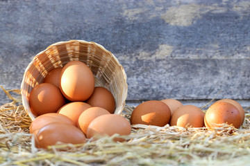Good quality chicken eggs in rattan basket with sunlight on the straw nest background, Egg with protein and nutritional value in local farm in Thailand. Use for texture.