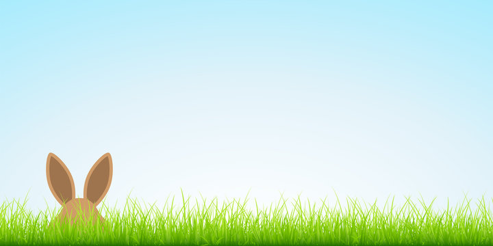 Easter Bunny Hiding In Meadow Banner Sky