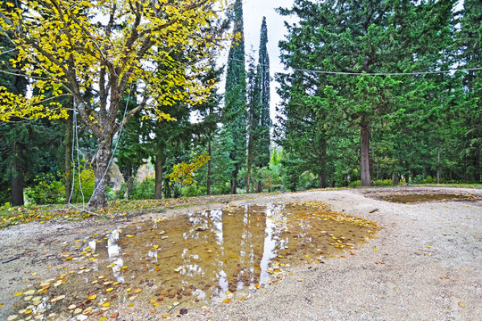 the garden of Tatoi Palace - the place where stayed the former greek Royal family
