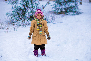 Portrait of the little smalling girl walk in snowy day