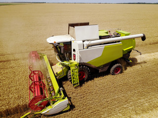 Close up view of professional combine harvester machine working in the wheat field.