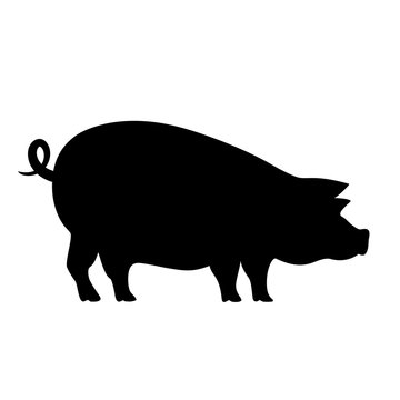 Pig vector pictogram