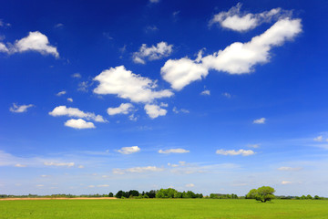 Panoramic view of wetlands and meadows by the Biebrza river in Poland