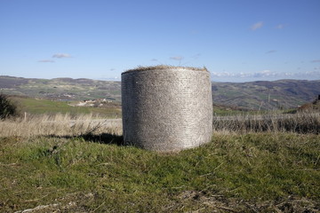 round bales of straw and hay
