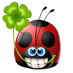 Fototapeta premium coccinella 