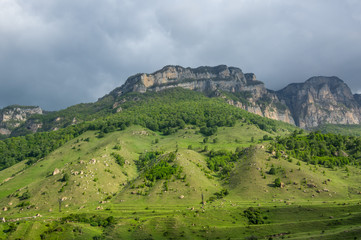Fototapeta premium Baksan gorge in the Caucasus mountains in Russia