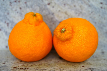 Sumo citrus giant mandarin orange fruit