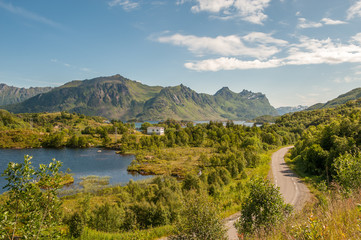 Obraz premium Roue E10 winding through the countryside of Lofoten archipelago during summer in northern Norway