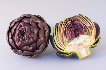 Roman Artichoke (Cynara scolymus) on white background, Carciofi Romaneschi, Roma, Italia