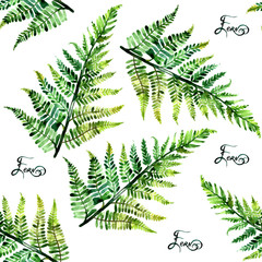 Watercolor illustration of fern seamless pattern isolated on white background