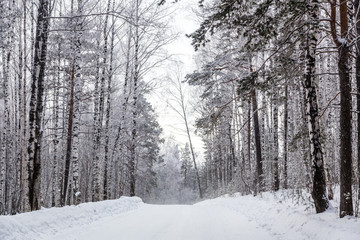 Ekaterinburg, Russia - wood in winter