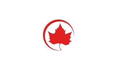 Stylized Autumn Red Maple Leaf Foliage logo icon, maple leaf Canada vector symbol icon design.