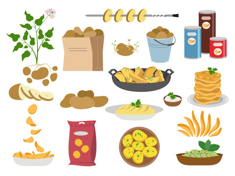 Big set icons of potato dishes on white background.