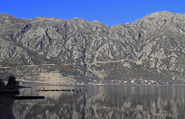 bay of kotor in Montenegro