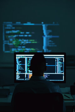 Software developer