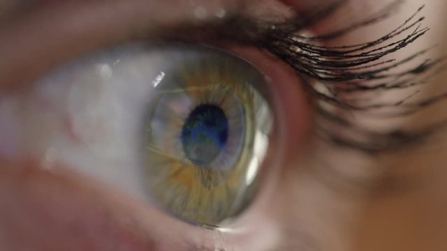 CLOSE UP, MACRO Unrecognizable woman with long eye lashes looking at a map of the world. A spinning globe playing on the computer screen is reflected in great detail on the shiny surface of girl's eye