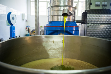 Making of Olive Oil