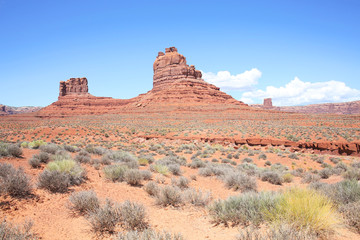 Fototapeta premium Valley of the Gods in Navajo Nation, Utah, USA
