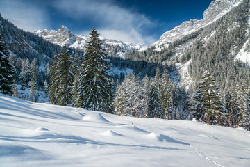 Schneeschuhwandern im Diemtigtal, Berner Oberland