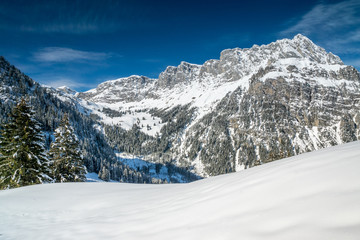 Obraz premium Schneeschuhwandern im Diemtigtal, Berner Oberland