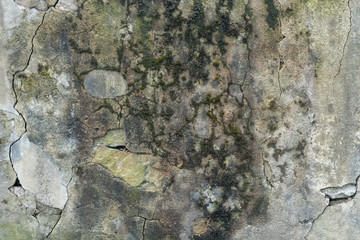 Verschimmelte Wand