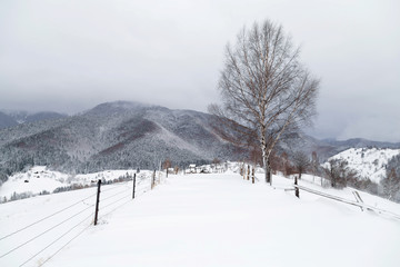Winter landscape in Transylvania, Romania