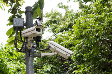 CCTV security camera, in the park with tree background