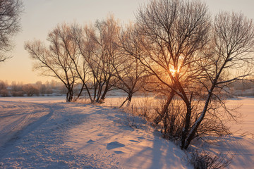 winter morning with snow and frost