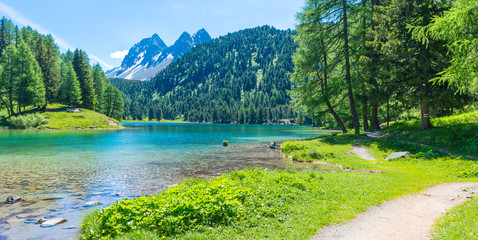 Summer day. Alps in Switzerland. Path  across the lake. Forest landscape in summer. Walk in the canton of Grisons.