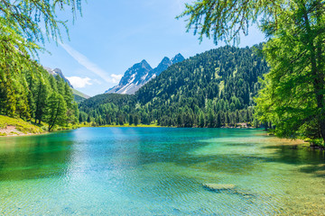 Summer day. Alps in Switzerland. Grisons. Path  across the lake. Forest landscape in summer. Walk in the canton of Grisons.