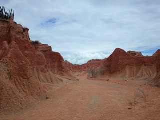 Fototapeta premium The Martian landscape of Cuzco, the Red Desert, part of Colombia's Tatacoa Desert. The area is an ancient dried forest and popular tourist destination.