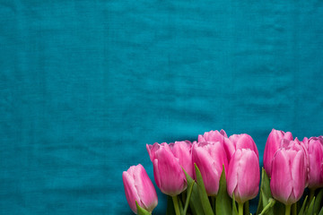 Fototapeta na wymiar Beautiful tulips on blue textile background