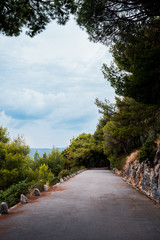 beautiful vertical landscape with a straight road