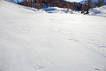 frozen snow in a landscape