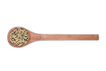 Whole cardamom seeds  on wooden spoon isolated on white background