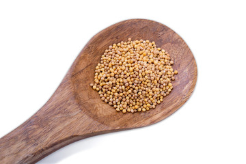 .Mustard seeds on wooden spoon isolated on white background.