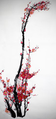  flowering plum branch
