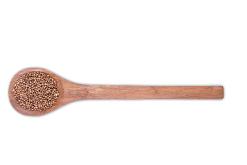 Coriander, seeds on wooden spoon isolated on white background