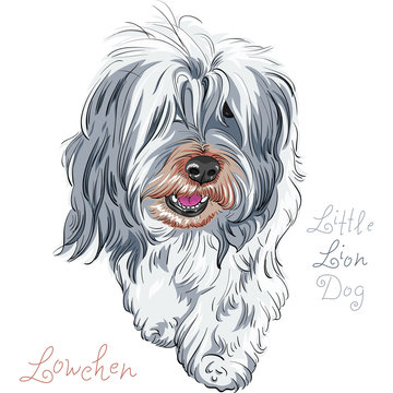 Shaggy Dog Cartoon Images Browse 2 684 Stock Photos Vectors
