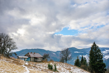 View on the carpathian pinewood house