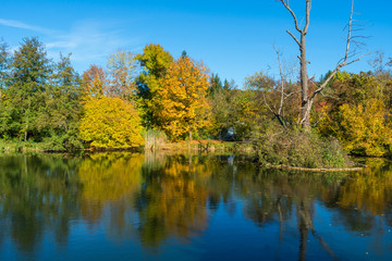 Herbststimmung am Trappensee in Heilbronn