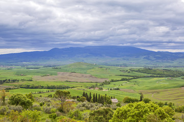 Fototapeta na wymiar Tuscan landscapes. Pienza. Italy