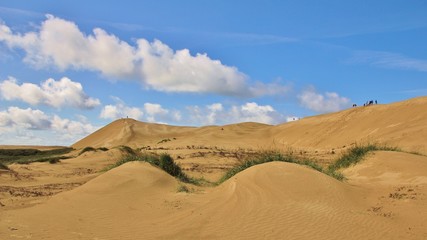 Fototapeta na wymiar Summer clouds over the Rubjerg Knude. High sand dune at the west coast of Denmark.