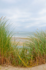 Strand Dünengras Nordsee / Ostsee