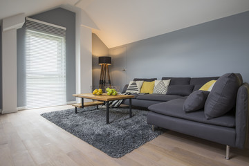 Spacious bright living room interior