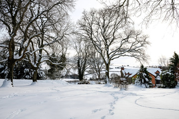 Snowy scene