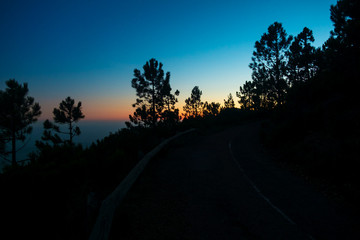 Fototapeta premium Baumsilhouetten vor Sonnenaufgang