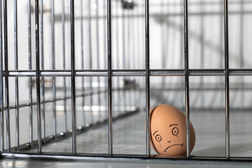 Ei mit traurigem Gesicht  im K&auml;fig, Symbolbild K&auml;fighaltung