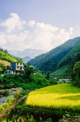 Mountains scenery in autumn 